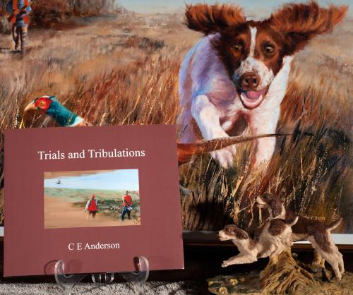 Trials and Tribulations